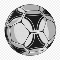 11 марта стартуют областные соревнования по волейболу «Серебряный мяч» среди команд общеобразовательных организаций  (в рамках общероссийского проекта «Волейбол – в школу»)